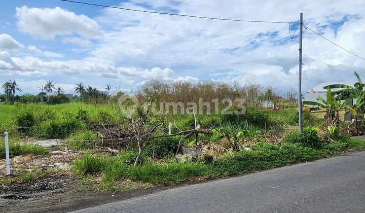 LAHAN JALAN UTAMA DI KAWASAN PANTAI SESEH, TABANAN - BALI LAHAN JALAN UTAMA DI KAWASAN PANTAI SESEH, TABANAN - BALI