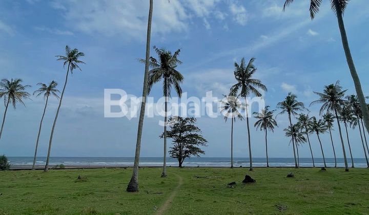 LAHAN JALAN UTAMA, LOS PANTAI & LOS SUNGAI DI SELEMADEG, TABANAN - BALI