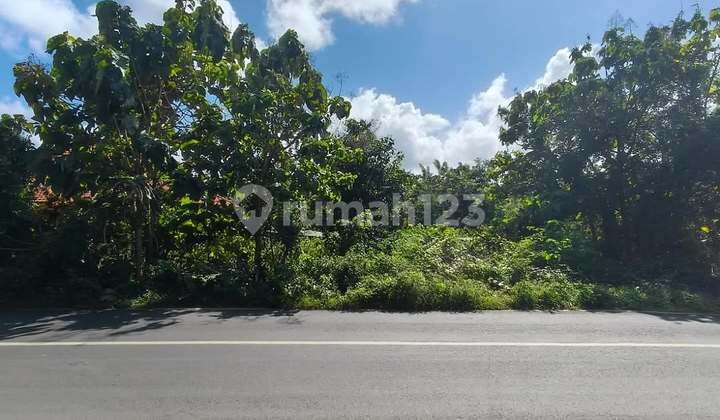 Ocean View Land on the Main Road of Belimbing Sari, Pecatu - Bali