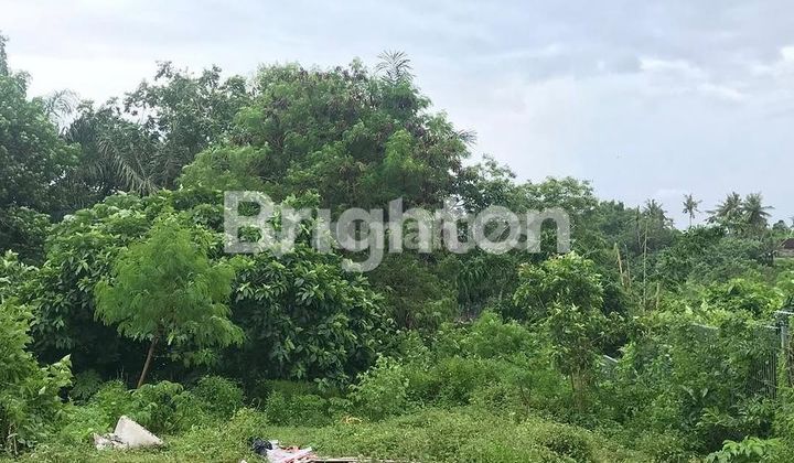 LAHAN DI AREA DESTINASI WISATA DI KEMENUH, UBUD - BALI LAHAN DI AREA DESTINASI WISATA DI KEMENUH, UBUD - BALI