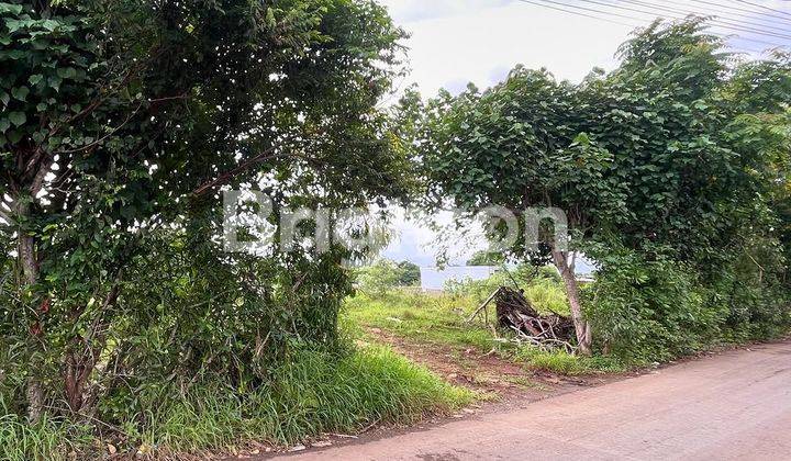 LAHAN KAVLING LANGKA DI JALAN UTAMA PANTAI BINGIN, ULUWATU - BALI 2