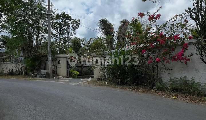 LAHAN JALAN UTAMA DI KAWASAN BINGIN BEACH, ULUWATU - BALI