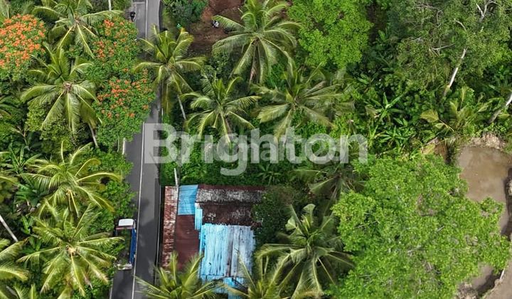 LAHAN KECIL VIEW SAWAH DEKAT CAPELLA RESORT DI UBUD, BALI