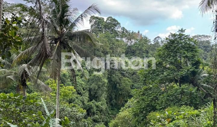 LAHAN DENGAN VIEW BAGUS DI KELIKI, UBUD RIVERSIDE - BALI LAHAN DENGAN VIEW BAGUS DI KELIKI, UBUD RIVERSIDE - BALI