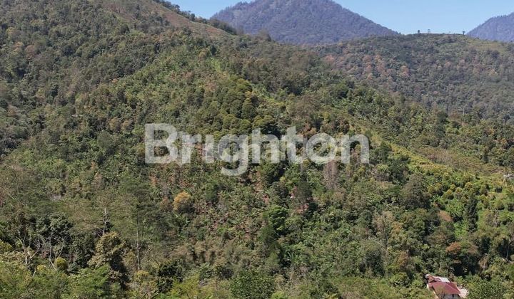 LAHAN DENGAN VIEW SANGAT MENAWAN DI MUNDUK, BULELENG - BALI 1