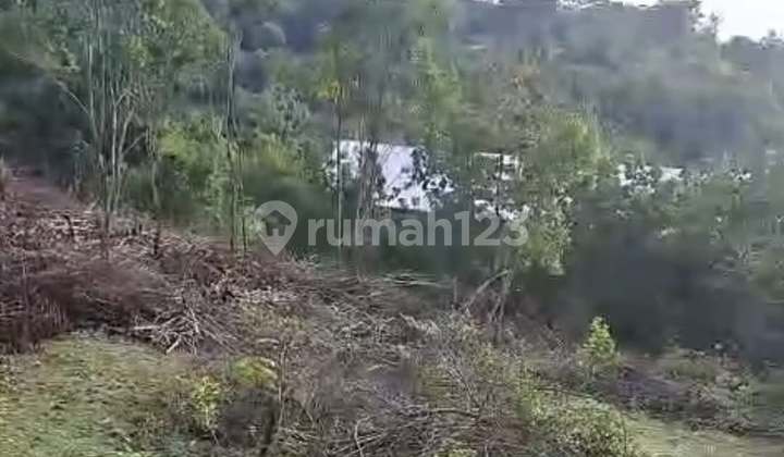 CHEAP LAND NEAR DHARMAWANGSA MAIN ROAD, NUSA DUA - BALI CHEAP LAND NEAR DHARMAWANGSA MAIN ROAD, NUSA DUA - BALI