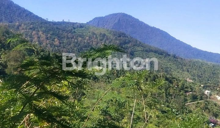 LAHAN DENGAN VIEW SANGAT MENAWAN DI MUNDUK, BULELENG - BALI 2
