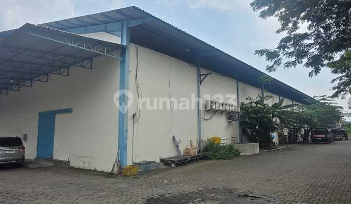 Gudang Sunter Dibawah NJOP Jakarta Utara Gudang Sunter Dibawah NJOP Jakarta Utara