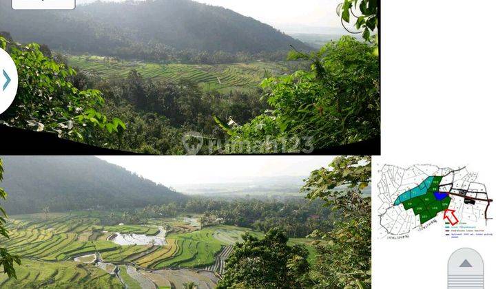 LAHAN SUDAH CUT & FILL DI DESA KEBUMEN, BANYUBIRU KAB SEMARANG 10