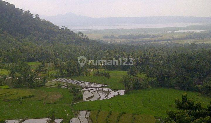 LAHAN SUDAH CUT & FILL DI DESA KEBUMEN, BANYUBIRU KAB SEMARANG 1