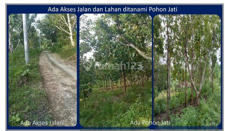 Land for sale quickly in Ped Village, Nusa Penida, Bali 2