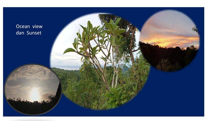 Dijual Cepat Tanah di Desa Ped Nusa Penida Bali 3