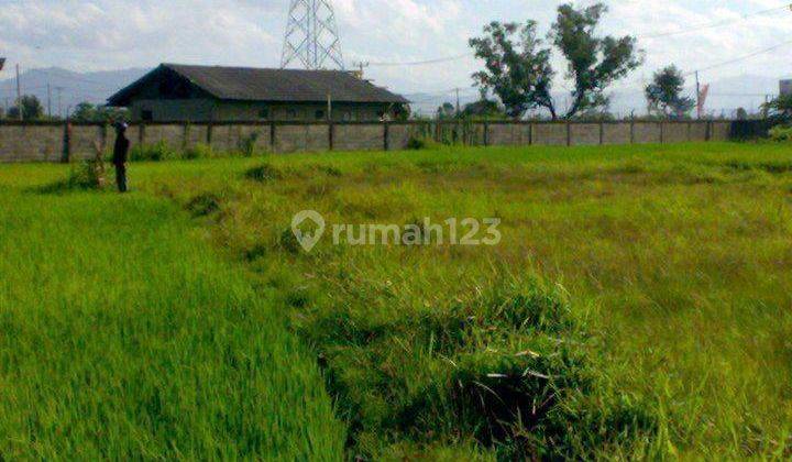 Dijual Tanah Di Cilegon Tangerang Banten 1