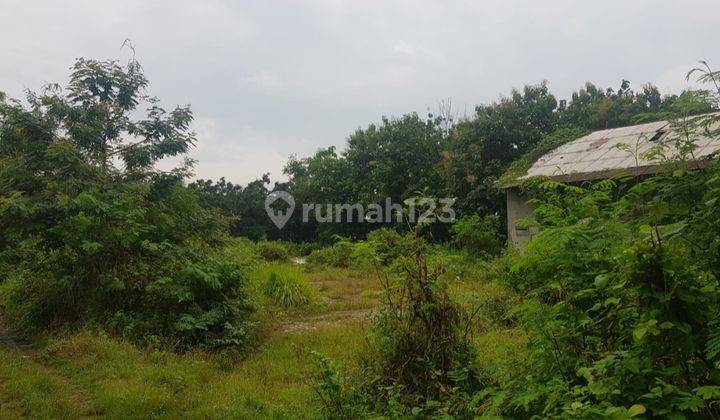 Tanah + bangunan tua drh Haurgeulis, Indramayu, strategis, pinggir jalan raya besar 1