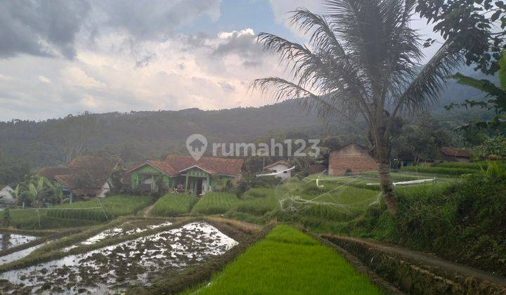 Tanah sawah lokasi Kamp Koleleuga, Gn Puntang Banjaran, dekat dgn Taman Wisata Bougenville, cocok utk villa 1