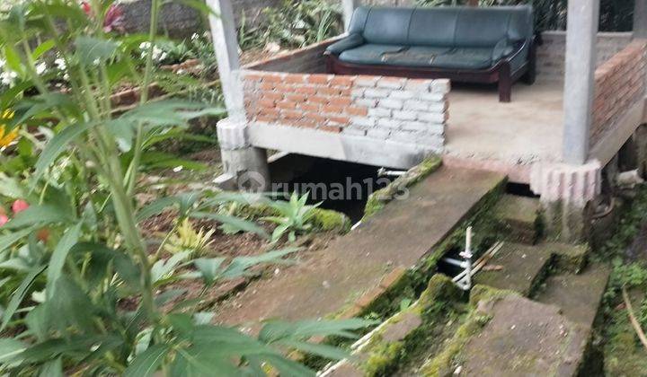 Tanah matang + bangunan lama, Lok pinggir jalan raya Gn Puntang, arah ke Taman Wisata Bougenville, cocok utk villa 2