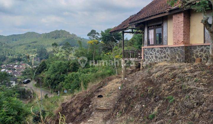 Tanah & bangunan lama Ko Barusen, Gambung, Pasir Jambu Ciwidey, akses jalan 2 mobil, cocok utk villa, kebun 1