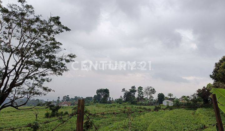 Tanah Lok Gn Puntang, Pinggir Jalan,  Dekat Bougenville 1