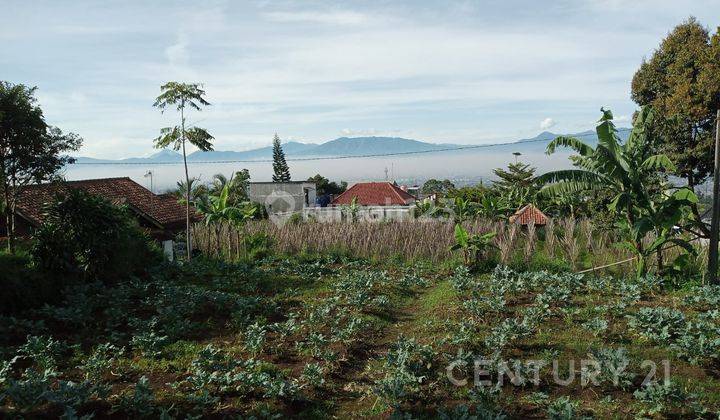 Tanah Di Cisarua, Cocok Utk Viia, Perumahan 1