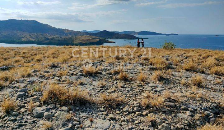 Tanah Area Wisata, Dekat Pulau Komodo, Pinggir Pantai 1