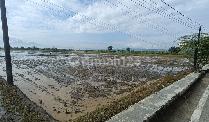 Tanah Lok Strategis, Pggr Jln National KADIPATEN, Msk Container 2