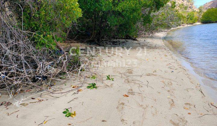 Tanah Area Wisata, Dekat Pulau Komodo, Pinggir Pantai 2
