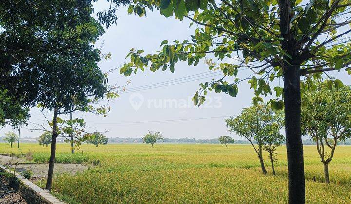 Tanah Di Ligung, Kab Majalengka, Zona Industri, Akses Containe 2