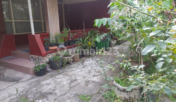 Barang Langka dan Murah Sayap Riau Dekat Jl Mengawan Anggrek Bandung