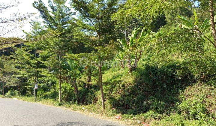 Tanah Kavling Murah di Bawa Njop di Setiabudi Kota Bandung 1