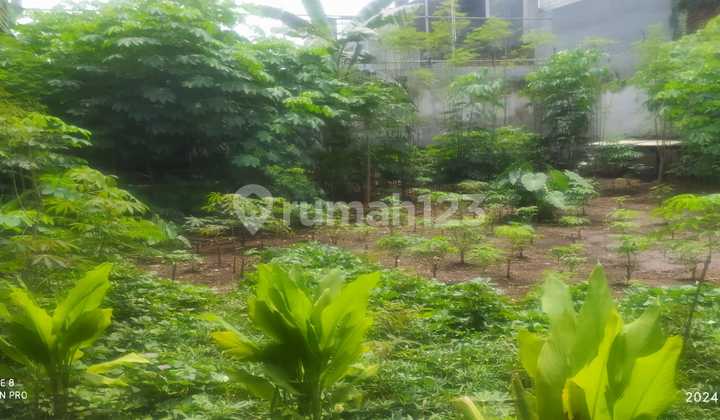 Selling Price Based on NJOP of a Well-Maintained, Move-In Ready House in Pasteur, Bandung City Selling Price Based on NJOP of a Well-Maintained, Move-In Ready House in Pasteur, Bandung City