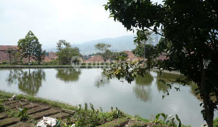 For Sale: Large Land for Building a Tourist Attraction in Ciwedey 2