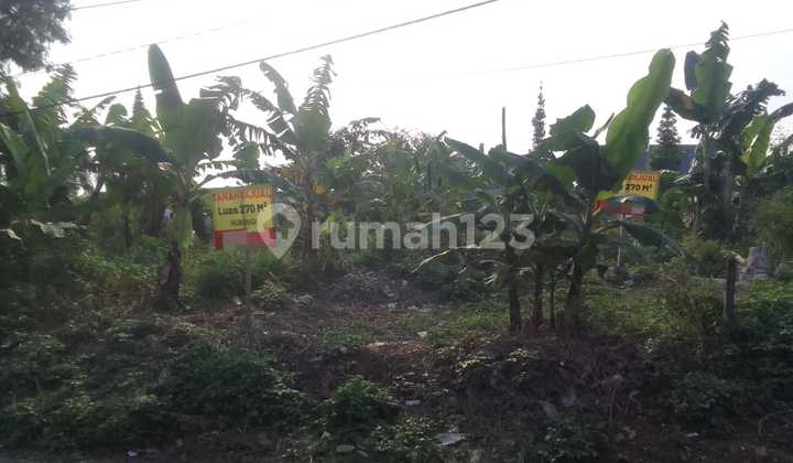 Wow Murah! Dijual Tanah Matang Di Cipageran Jalan Lebar