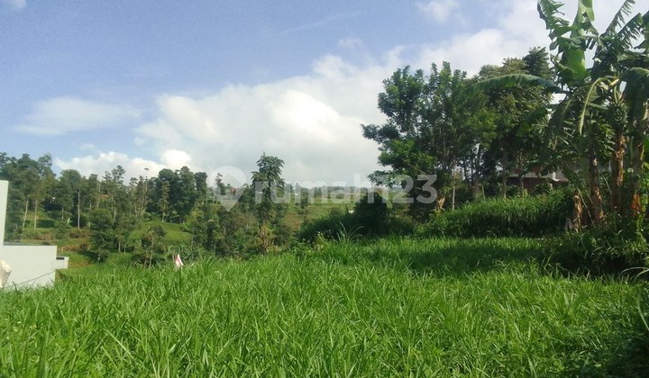 Murah! Dijual Tanah Produktif Dekat Cipageran Cimahi Utara