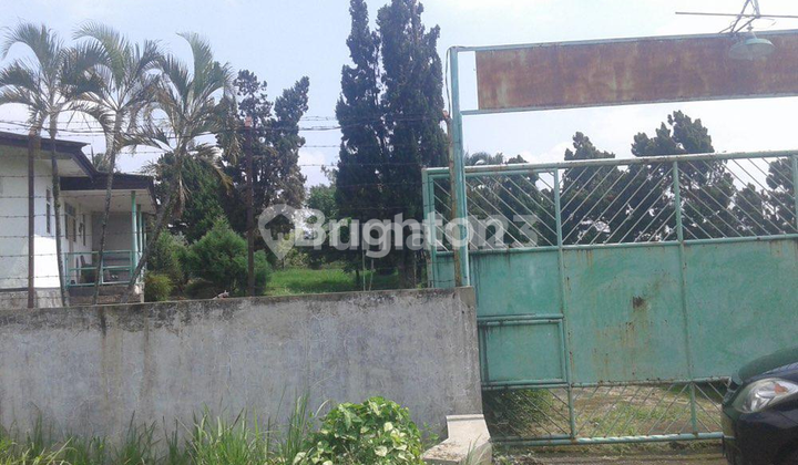 LAND IN PACET MOJOKERTO CHEAP BELOW MARKET PRICE LAND IN PACET MOJOKERTO CHEAP BELOW MARKET PRICE