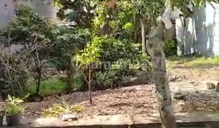 Tanah di Bunga-bunga 217 m² SHM cocok dibangun kost Tanah di Bunga-bunga 217 m² SHM cocok dibangun kost
