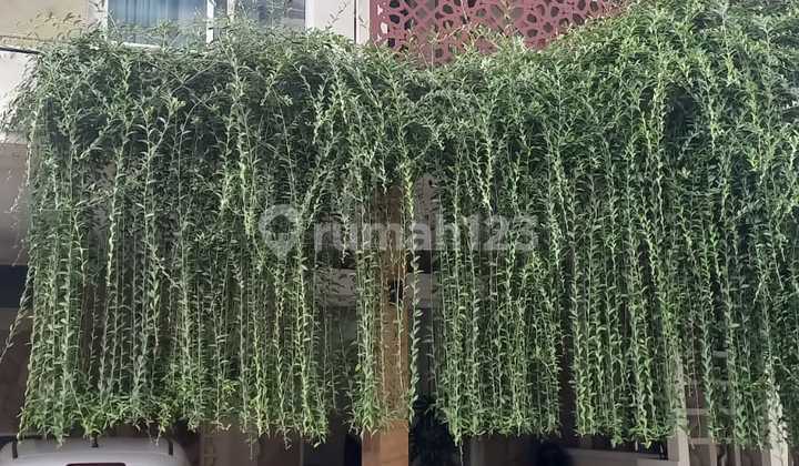 Modern Minimalist House Ready to Occupy Near Ub Campus 2