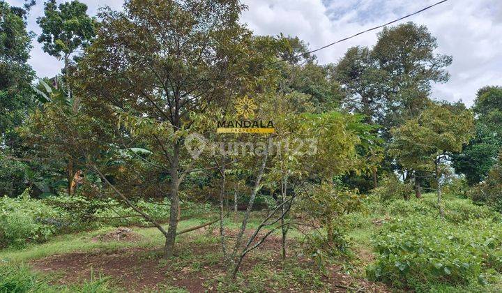 Dijual Tanah di Demplot Rumpin - 500m dari Pintu Tol Mekarsari & 4km dari Heira BSD  1