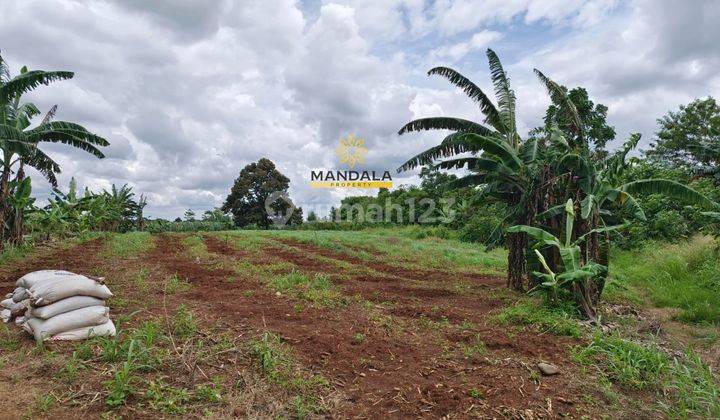 Dijual Tanah di Demplot Rumpin - 500m dari Pintu Tol Mekarsari & 4km dari Heira BSD  2