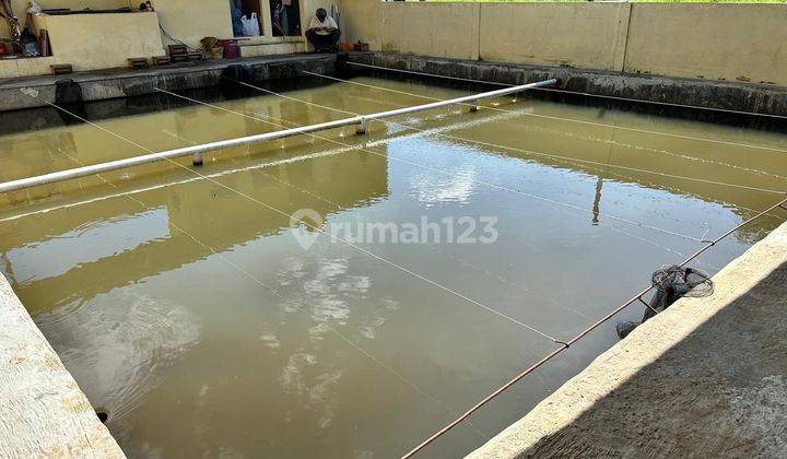 Kolam + Banngunan Di Jatiendah Cilengkrang Kab.bandung  2