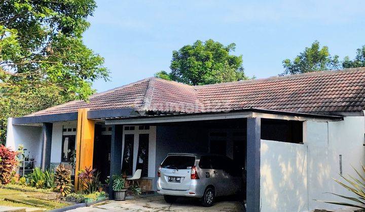 Dijual Rumah Cijeruk Bogor Lt 1100 Daerah Pegunungan Udara Bersih  1