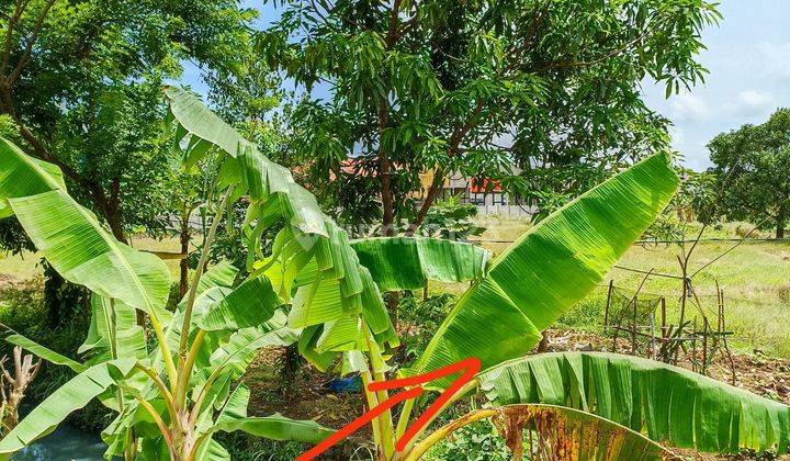 Tanah siap bangun di kawasan industri pasar Kemis Tangerang banten 2
