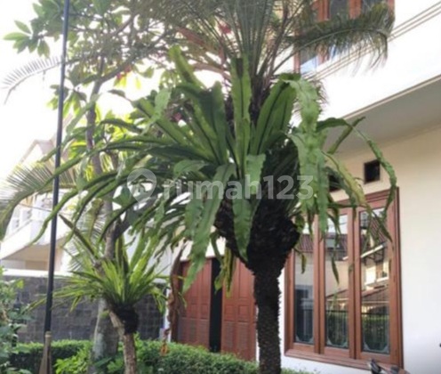Rumah  Permata Hijau 2  YANG SEPERTI INI JARANG ADA, Mewah Nuansa Resort Nyaman pisan euy....