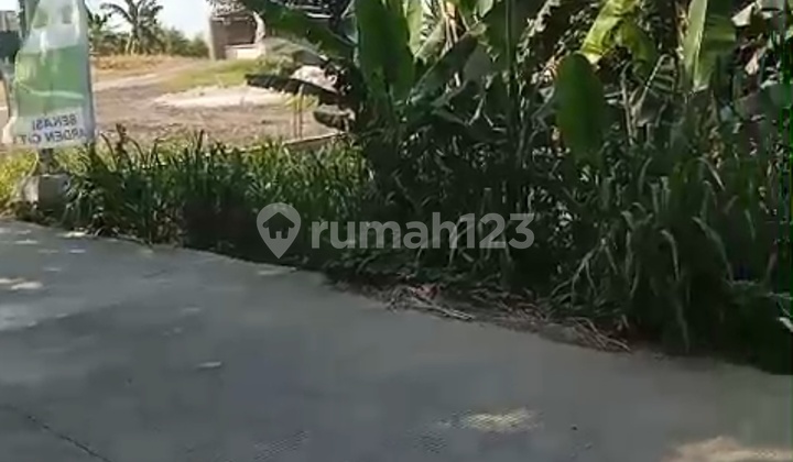 Tanah Jalan C B L Rp.350.000/M2