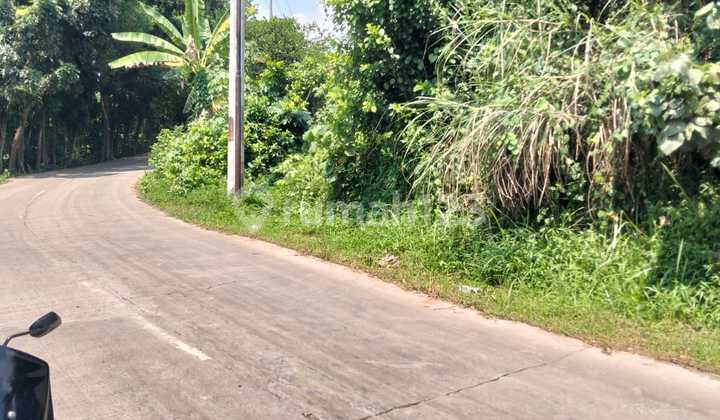 Tanah 1.6 Ha Desa Munjul Purwakarta Rp.300 Rb Tanah 1.6 Ha Desa Munjul Purwakarta Rp.300 Rb