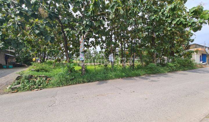 Tanah pekarangan siap bangun 4