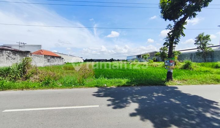 Tanah Strategis Zona Kuning Di Gawok Gatak Solo Tanah Strategis Zona Kuning Di Gawok Gatak Solo