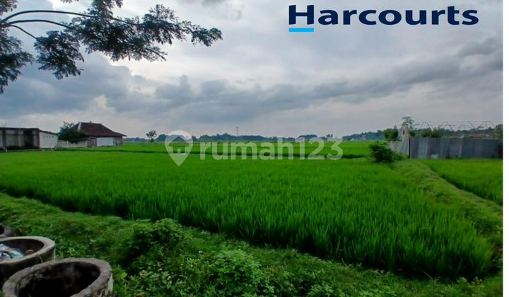 Tanah Strategis Zona Merah/Industri di Sumberlawang Sragen