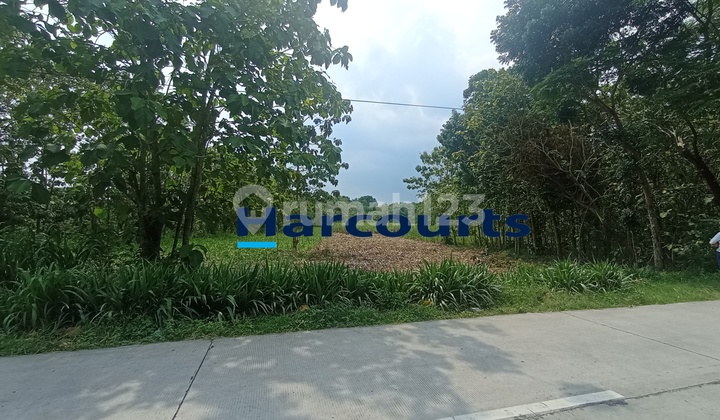 Red Zone Land/Strategic Industry in Sambungmacan, Sragen