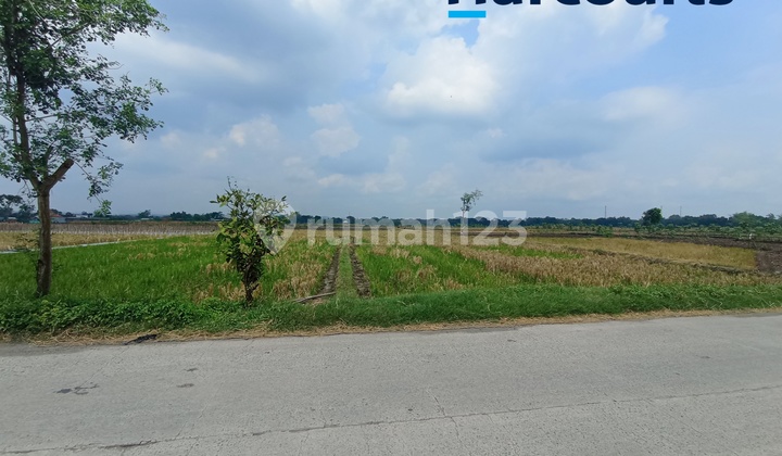 Tanah Zona Merah Strategis di Sumberlawang Sragen Solo Tanah Zona Merah Strategis di Sumberlawang Sragen Solo