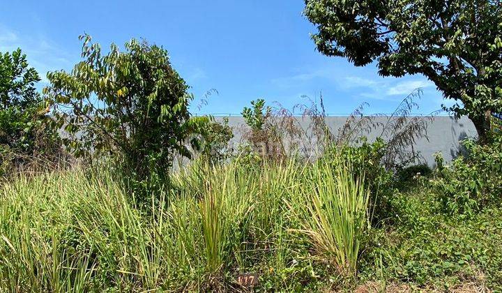 Tanah Dengan View Menyejukkan Untuk Healing di Tanjungsari, Bogor 2